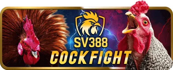 Hình ảnh minh họa quy tắc nạp rút tiền ceo666 win